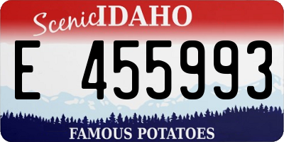 ID license plate E455993