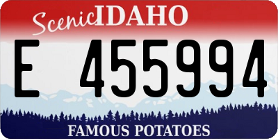 ID license plate E455994