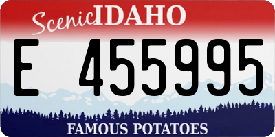 ID license plate E455995