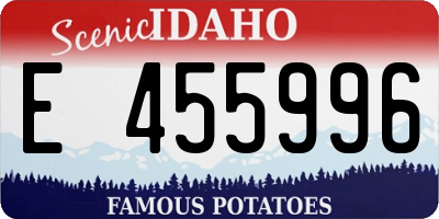 ID license plate E455996