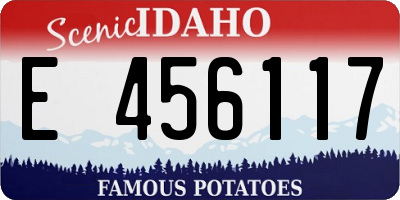 ID license plate E456117
