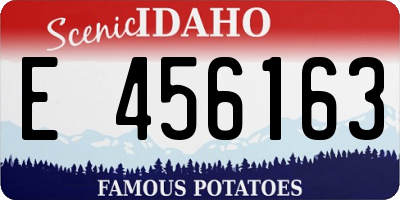 ID license plate E456163