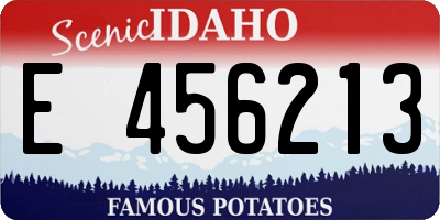 ID license plate E456213