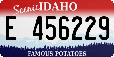 ID license plate E456229