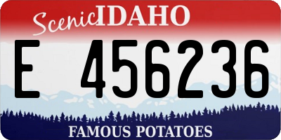 ID license plate E456236