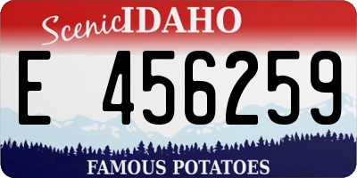 ID license plate E456259