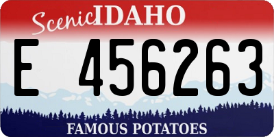 ID license plate E456263