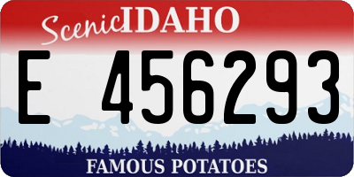 ID license plate E456293