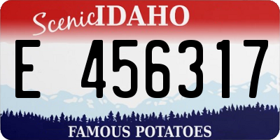 ID license plate E456317