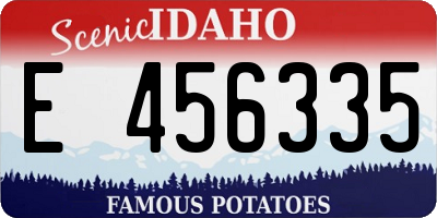 ID license plate E456335