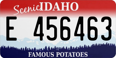 ID license plate E456463