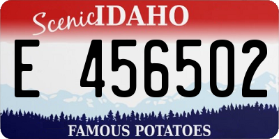 ID license plate E456502