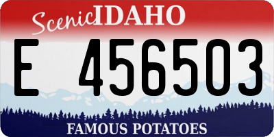 ID license plate E456503