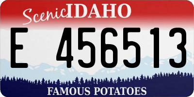 ID license plate E456513