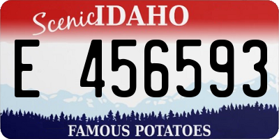 ID license plate E456593