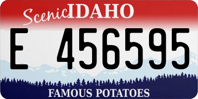 ID license plate E456595