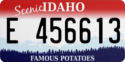 ID license plate E456613