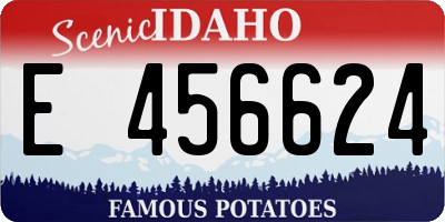 ID license plate E456624