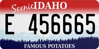 ID license plate E456665