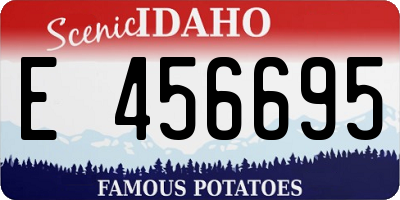 ID license plate E456695