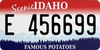 ID license plate E456699