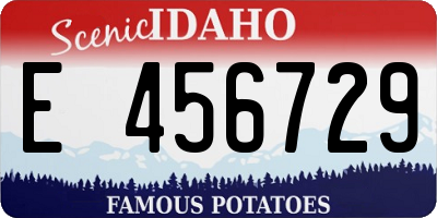 ID license plate E456729
