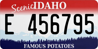 ID license plate E456795