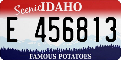 ID license plate E456813