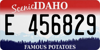 ID license plate E456829
