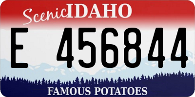 ID license plate E456844