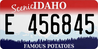 ID license plate E456845