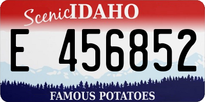 ID license plate E456852