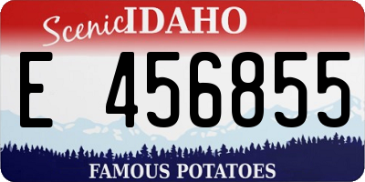 ID license plate E456855