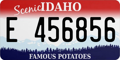 ID license plate E456856