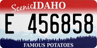 ID license plate E456858