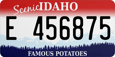ID license plate E456875