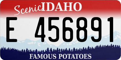 ID license plate E456891