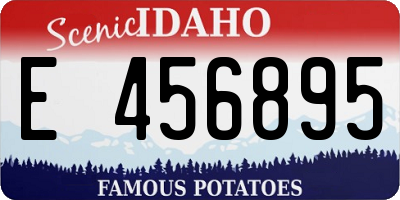 ID license plate E456895