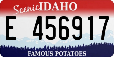 ID license plate E456917