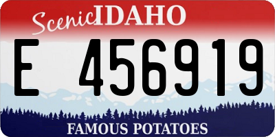 ID license plate E456919