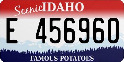 ID license plate E456960