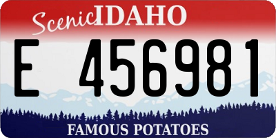 ID license plate E456981
