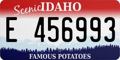 ID license plate E456993
