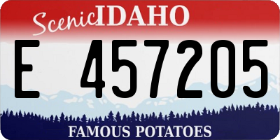 ID license plate E457205