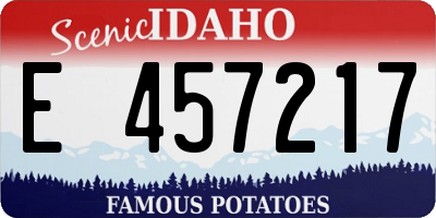 ID license plate E457217