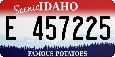 ID license plate E457225