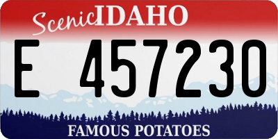 ID license plate E457230