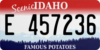 ID license plate E457236