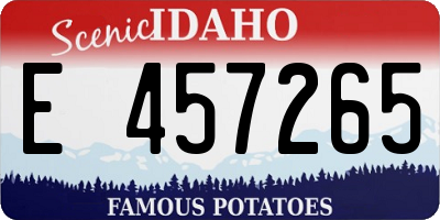 ID license plate E457265