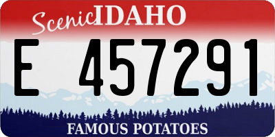 ID license plate E457291